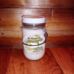 🎀SALE🎀The Ancient Tree Candle, size 8oz , white